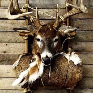 Meet your Posher, Keith